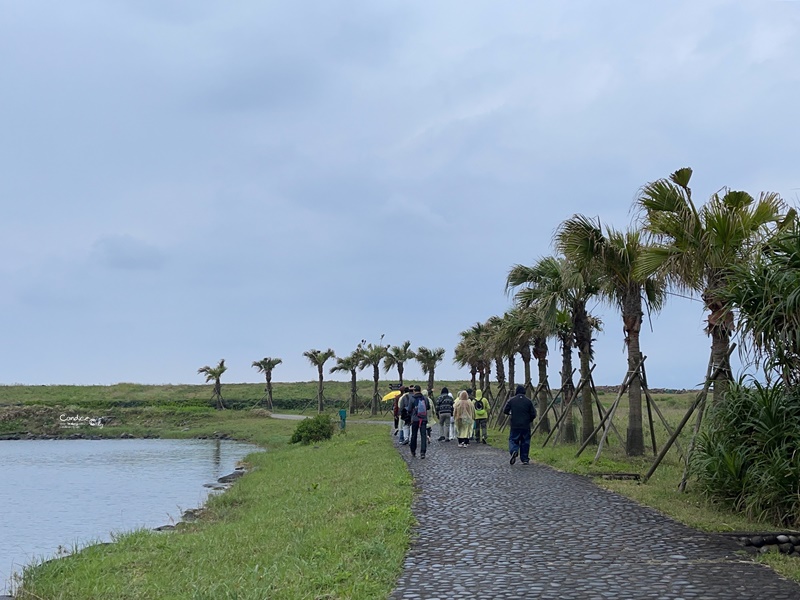 龜山島登島‧賞鯨豚‧繞島｜超幸運的宜蘭賞鯨豚之旅!龜山島登島開放囉!