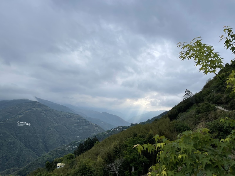 拉拉山芘雅尚露營區｜超級美綿延山景!爆喜歡的拉拉山露營區!營區介紹/路況