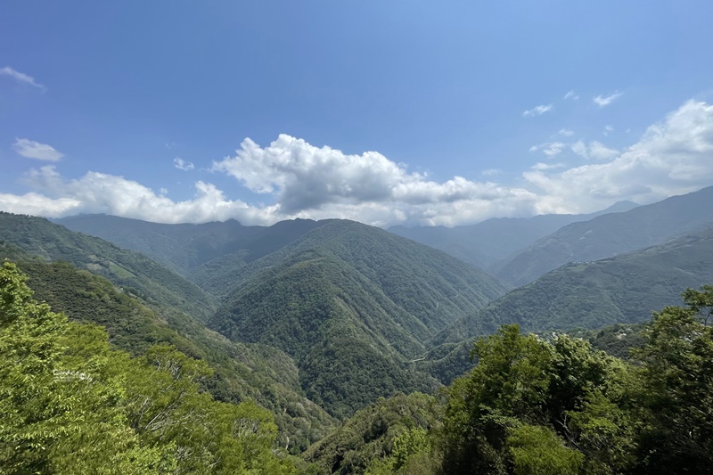 拉拉人嘉美食莊｜超夯拉拉山美食,好吃便宜風景美的拉拉山景觀餐廳!