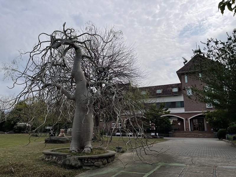 巧克力雲莊｜DIY巧克力/風景美的苗栗大湖親子景點!