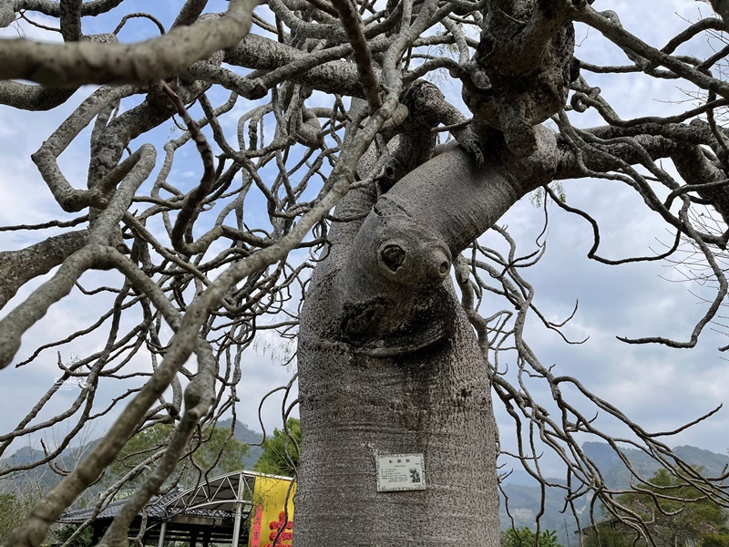 巧克力雲莊｜DIY巧克力/風景美的苗栗大湖親子景點!