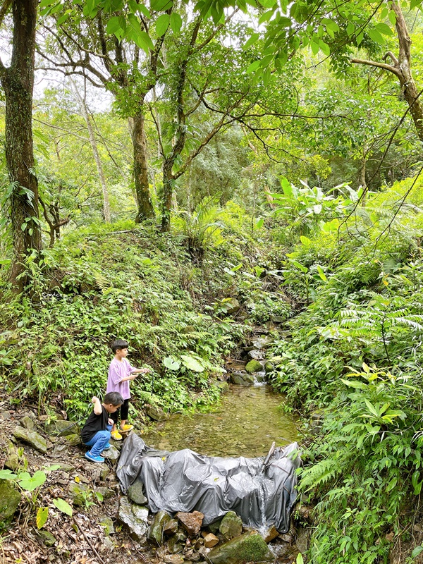 八度野溪露營區｜溪邊玩水露營/營區介紹/路況佳/南非狩獵帳/桃園露營區