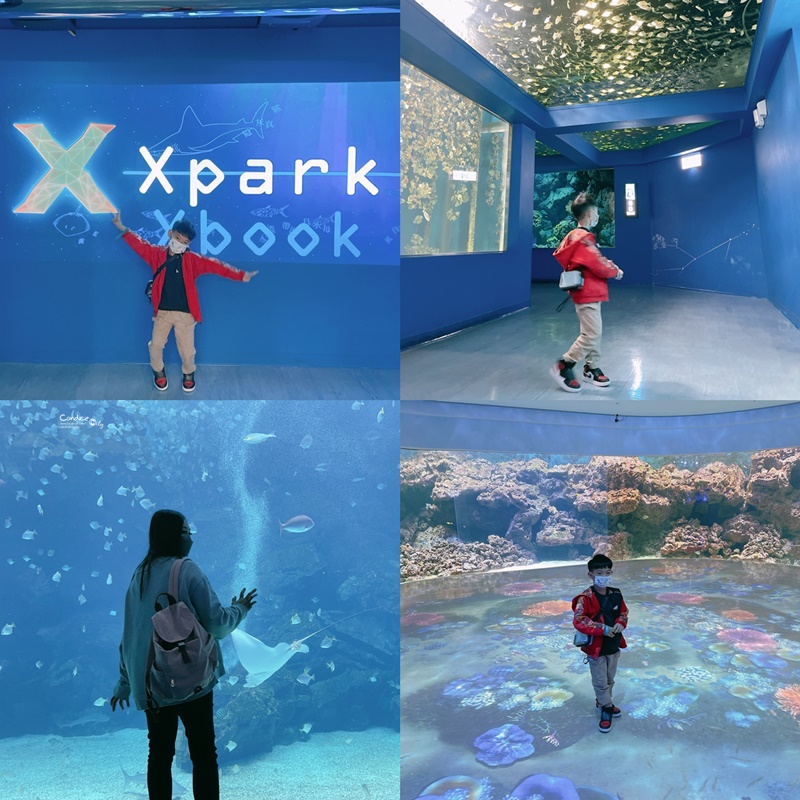 Xpark水族館住一晚豪華體驗分享！海洋系飯店級入住水族館/和逸:宿海奇遇!