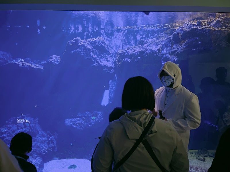 Xpark水族館住一晚豪華體驗分享！海洋系飯店級入住水族館/和逸:宿海奇遇!