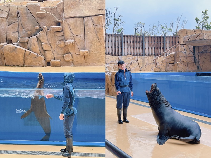 Xpark水族館住一晚豪華體驗分享！海洋系飯店級入住水族館/和逸:宿海奇遇!