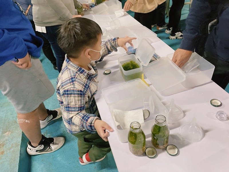 Xpark水族館住一晚豪華體驗分享！海洋系飯店級入住水族館/和逸:宿海奇遇!