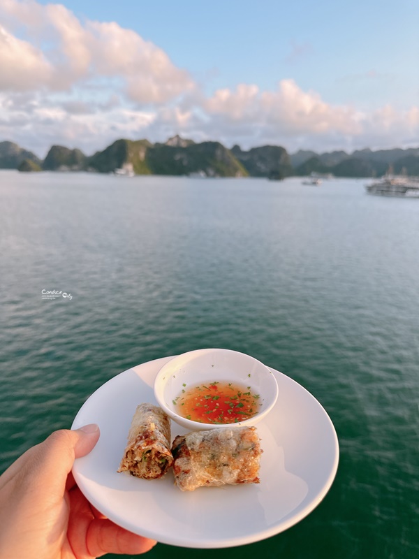 越南五天可樂旅遊跟團行程分享-下龍灣(蘭夏灣航線)+船上住一晚+河內市區觀光!