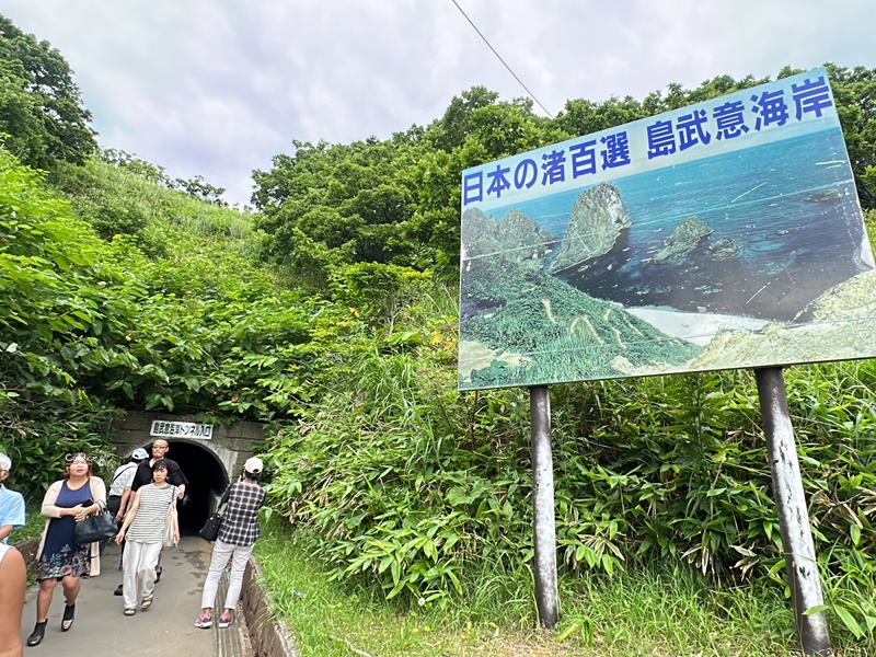 北海道旅遊｜薰衣草六日-小樽.富良野.四季彩之丘.旭山動物園.洞爺湖(名生旅遊)