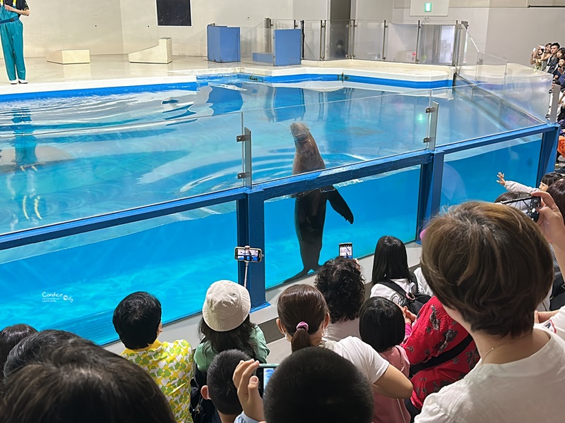 北海道旅遊｜薰衣草六日-小樽.富良野.四季彩之丘.旭山動物園.洞爺湖(名生旅遊)