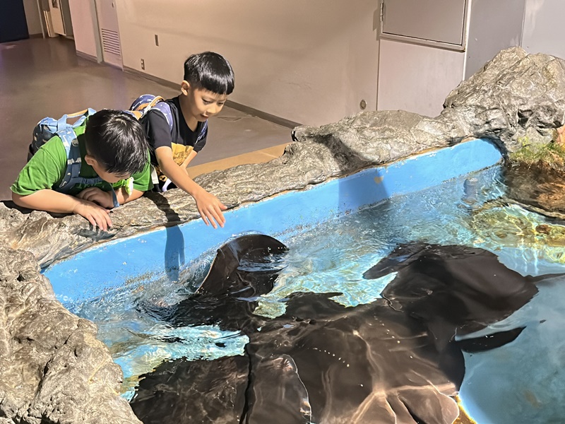 北海道旅遊｜薰衣草六日-小樽.富良野.四季彩之丘.旭山動物園.洞爺湖(名生旅遊)