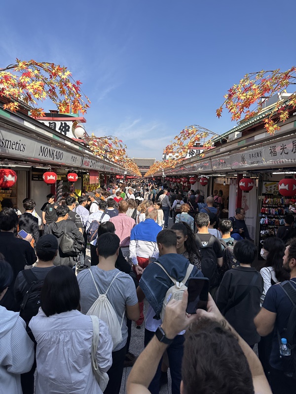 秋遊東京行程表(2)｜東京自由行‧日光一日遊‧ 足利花卉公園燈光秀/東京海洋迪士尼‧DAY7~12