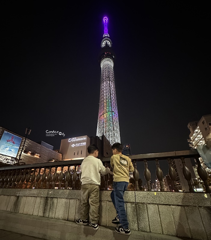 秋遊東京行程表(2)｜東京自由行‧日光一日遊‧ 足利花卉公園燈光秀/東京海洋迪士尼‧DAY7~12