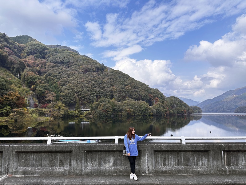 秋遊東京行程表(2)｜東京自由行‧日光一日遊‧ 足利花卉公園燈光秀/東京海洋迪士尼‧DAY7~12