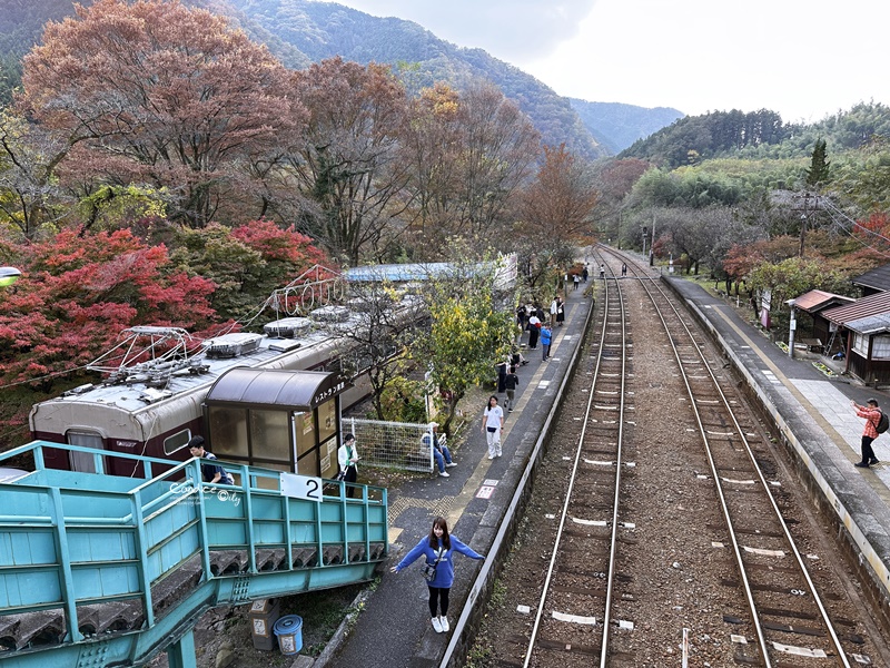 秋遊東京行程表(2)｜東京自由行‧日光一日遊‧ 足利花卉公園燈光秀/東京海洋迪士尼‧DAY7~12