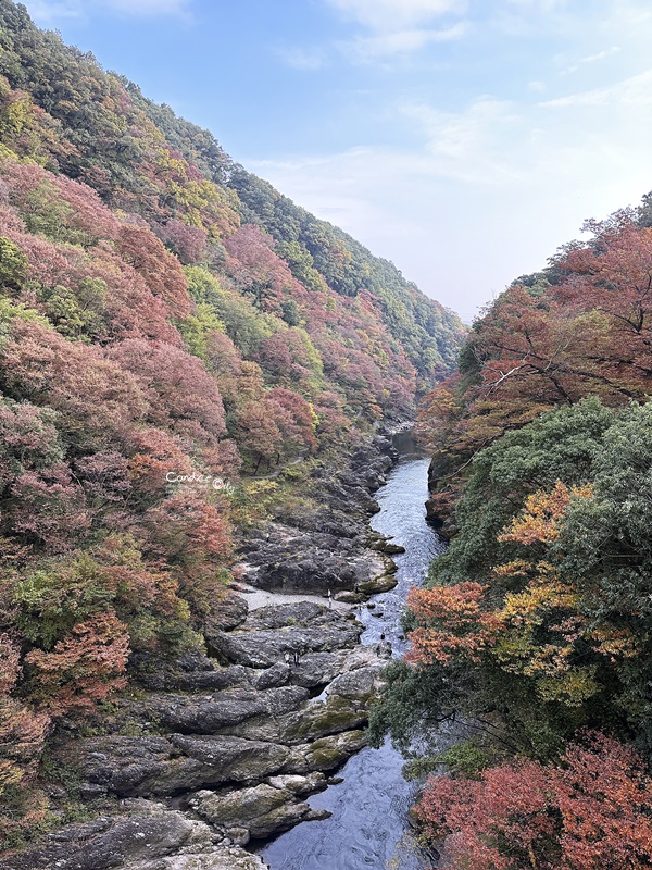 秋遊東京行程表(2)｜東京自由行‧日光一日遊‧ 足利花卉公園燈光秀/東京海洋迪士尼‧DAY7~12