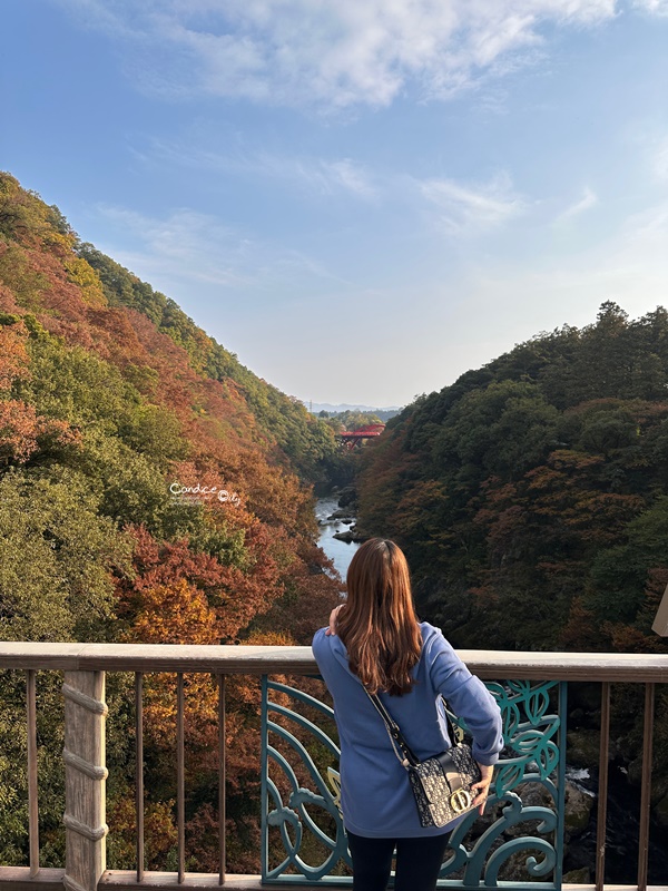 秋遊東京行程表(2)｜東京自由行‧日光一日遊‧ 足利花卉公園燈光秀/東京海洋迪士尼‧DAY7~12