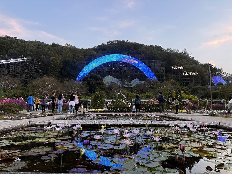 秋遊東京行程表(2)｜東京自由行‧日光一日遊‧ 足利花卉公園燈光秀/東京海洋迪士尼‧DAY7~12