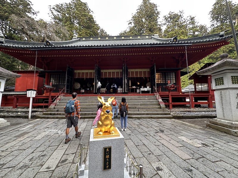 秋遊東京行程表(2)｜東京自由行‧日光一日遊‧ 足利花卉公園燈光秀/東京海洋迪士尼‧DAY7~12