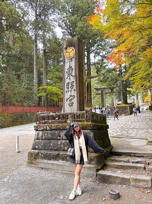 秋遊東京行程表(2)｜東京自由行‧日光一日遊‧ 足利花卉公園燈光秀/東京海洋迪士尼‧DAY7~12