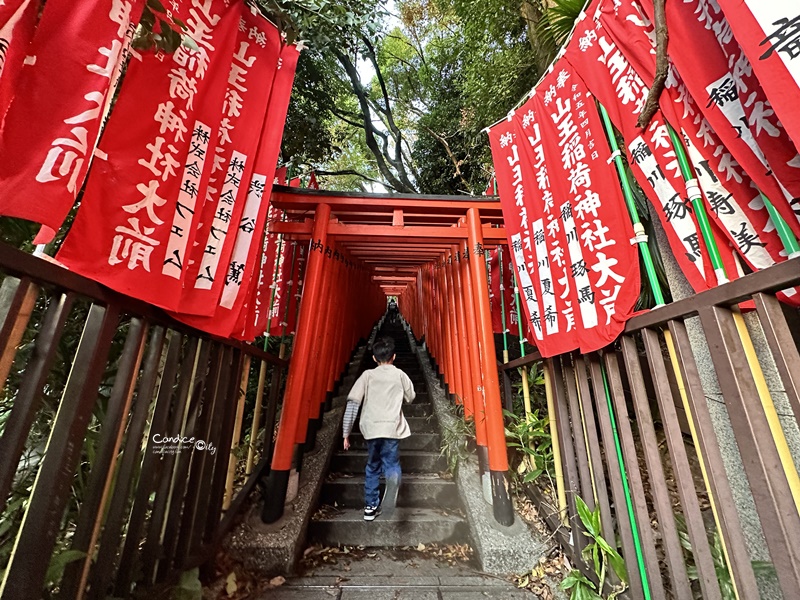 秋遊東京行程表(2)｜東京自由行‧日光一日遊‧ 足利花卉公園燈光秀/東京海洋迪士尼‧DAY7~12