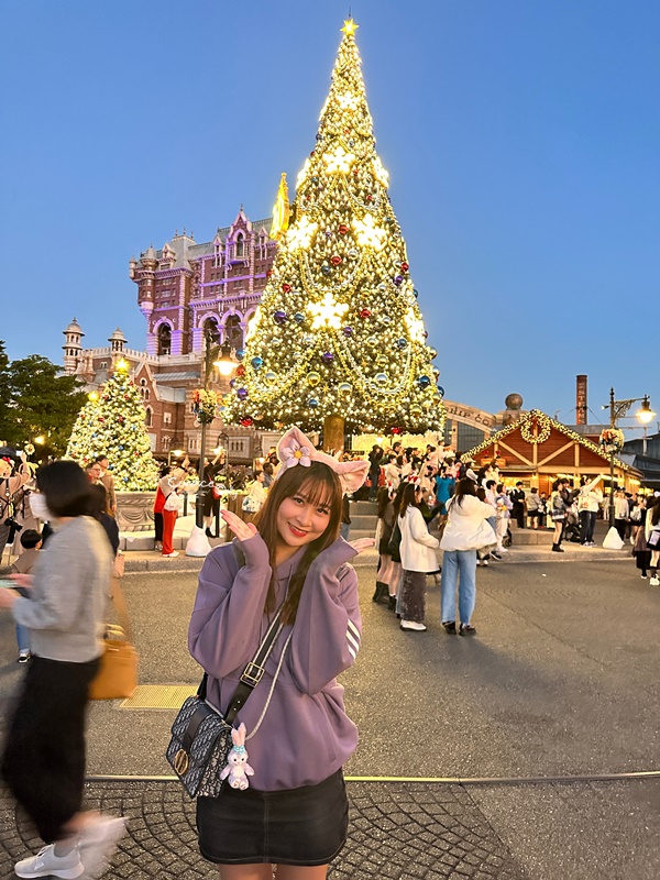 秋遊東京行程表(2)｜東京自由行‧日光一日遊‧ 足利花卉公園燈光秀/東京海洋迪士尼‧DAY7~12