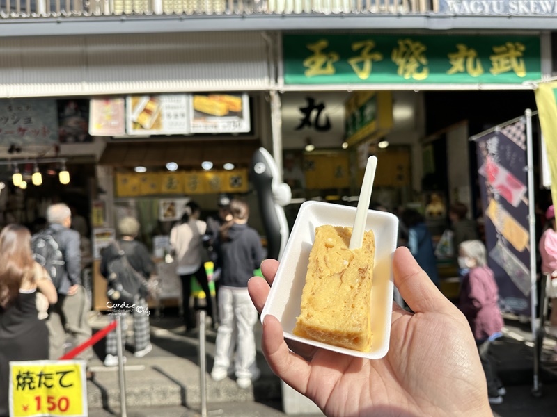 秋遊東京行程表(2)｜東京自由行‧日光一日遊‧ 足利花卉公園燈光秀/東京海洋迪士尼‧DAY7~12