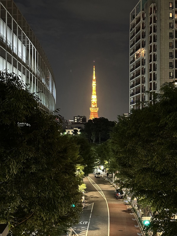 2024東京自由行｜富士山芝櫻東京行程表5天+機票住宿花費心得!