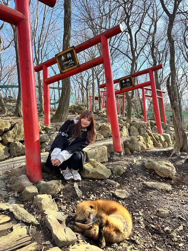 2024仙台山形自由行｜銀山溫泉/藏王樹冰/山寺/松島/狐狸村/人生必訪景點達陣!