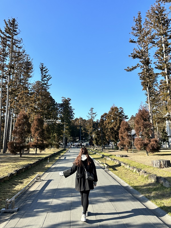 2024仙台山形自由行｜銀山溫泉/藏王樹冰/山寺/松島/狐狸村/人生必訪景點達陣!