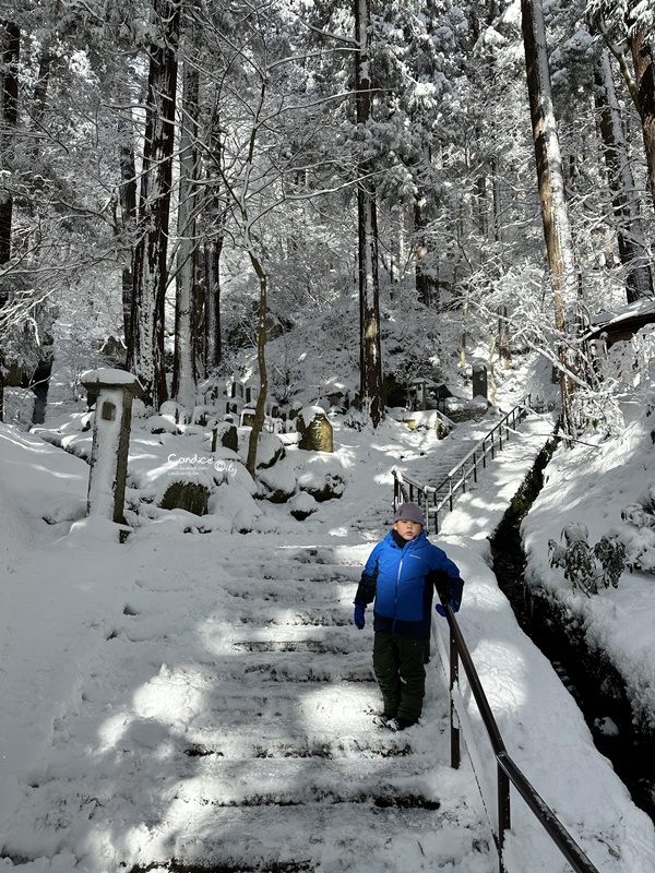 2024仙台山形自由行｜銀山溫泉/藏王樹冰/山寺/松島/狐狸村/人生必訪景點達陣!