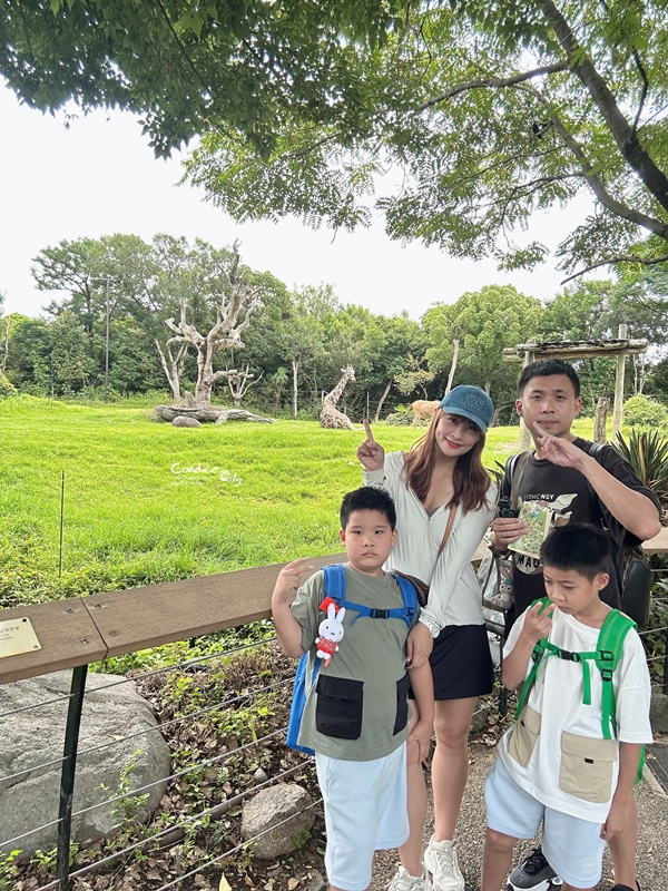 大阪自由行｜環球影城/天王寺動物園/最新開的溫泉夜景住宿｜夏遊日本親子行(DAY11~16)