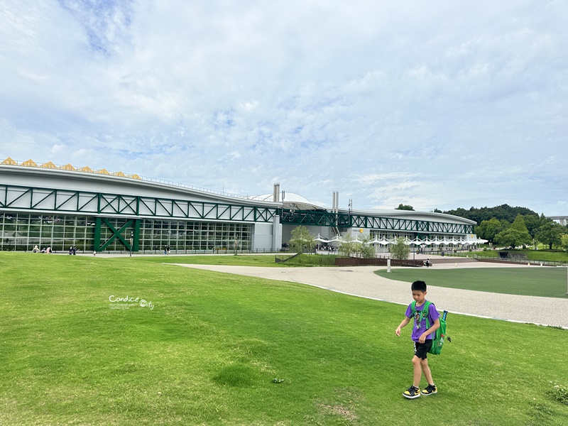 名古屋自由行｜吉卜力公園/名古屋樂高樂園/名古屋港水族館｜夏遊日本親子行(DAY6~11)