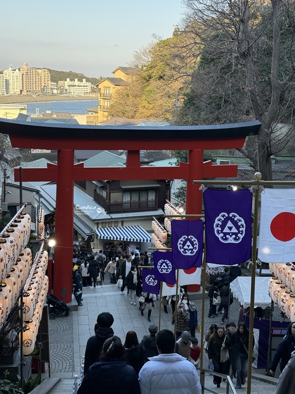 2025第一次女子獨旅，香港東京自由行，6天5夜行程表、獨旅注意事項