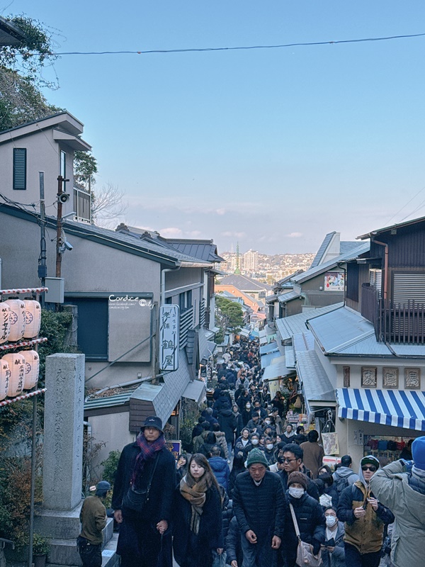 2025第一次女子獨旅，香港東京自由行，6天5夜行程表、獨旅注意事項