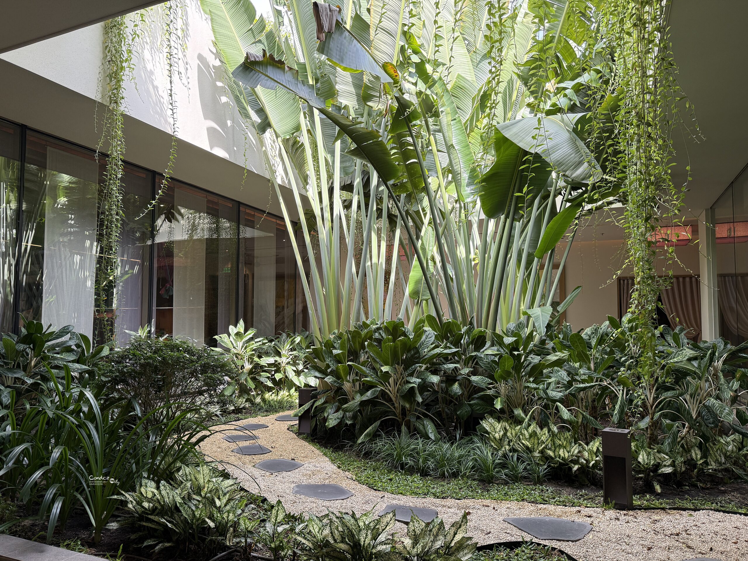 越南峴港會安住宿｜讀者敲碗4間五星酒店必住心得懶人包(可樂旅遊跟團住宿)