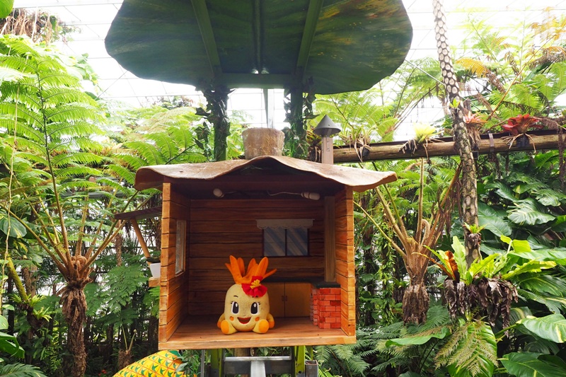 名護鳳梨園｜超推薦的沖繩親子景點!好吃好玩又不怕下雨!