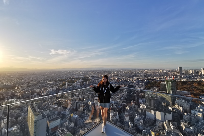 【東京自由行】東京賞楓銀杏迪士尼富士山自由行10天行程表,機加酒花費!