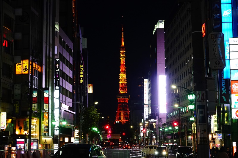 【東京自由行】東京賞楓銀杏迪士尼富士山自由行10天行程表,機加酒花費!