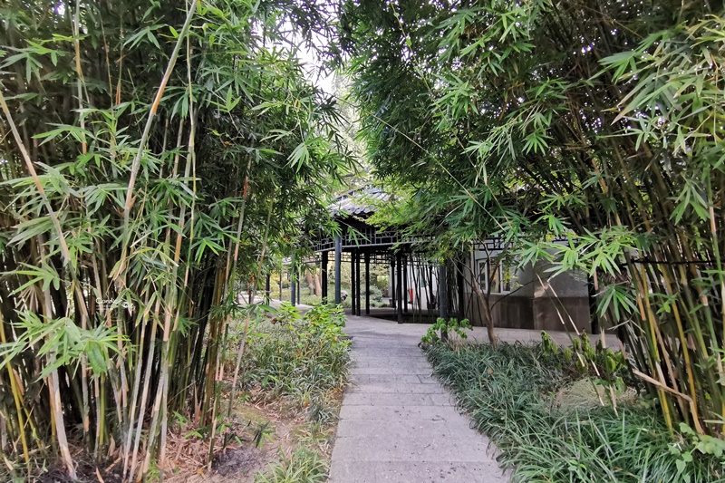 西湖國賓館｜各國元首西湖必住!毛澤東西湖行館,館內就是小西湖超好拍!