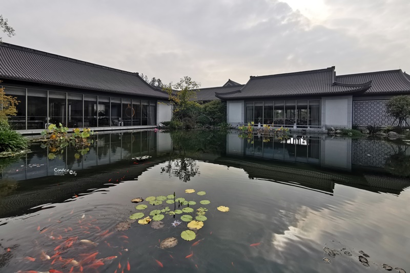 西湖國賓館｜各國元首西湖必住!毛澤東西湖行館,館內就是小西湖超好拍!