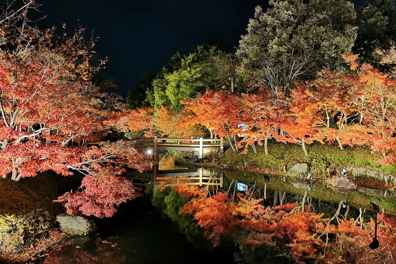 【名古屋自由行】5天4夜名古屋親子自由行,行程/花費/機加酒/住宿/景點美食懶人包!