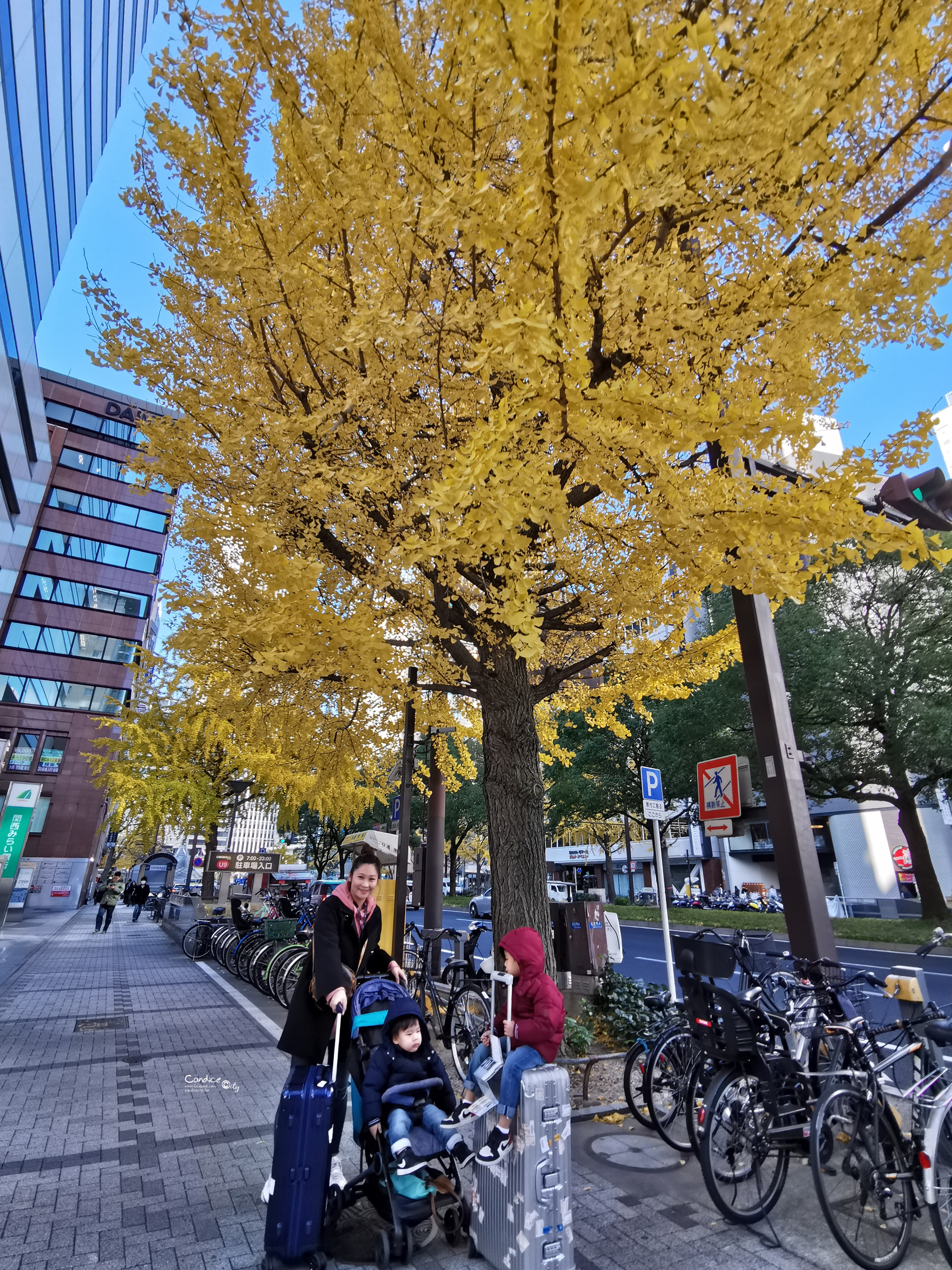 【名古屋自由行】5天4夜名古屋親子自由行,行程/花費/機加酒/住宿/景點美食懶人包!