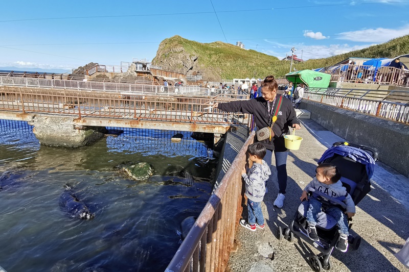 【北海道自由行】超強北海道自由行10天9夜自駕行程表!推薦行程+機加酒花費!