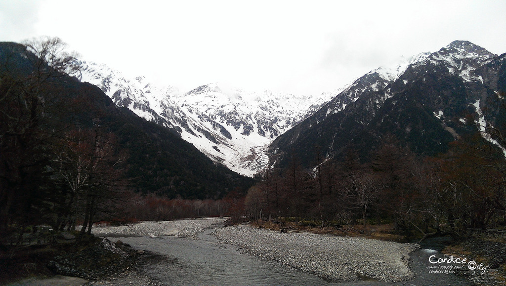 【東京立山黑部】DAY3-1 美翻天的富士河口湖、賞櫻、上高地河童橋