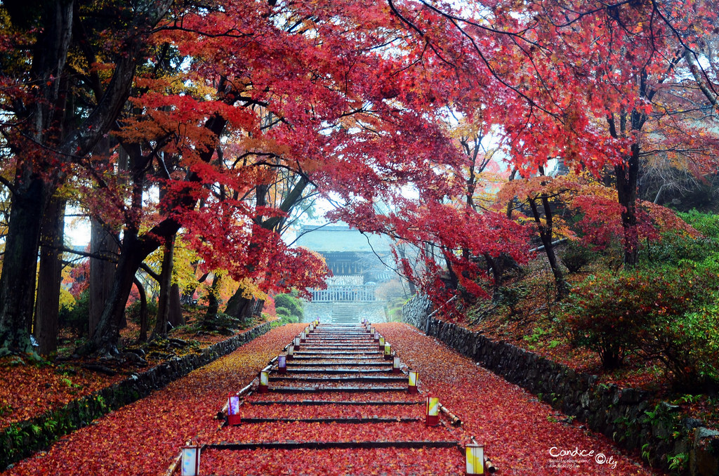 大阪神戶奈良京都自由行懶人包，景點美食住宿一次看透透!!(難波、心齋橋、梅田、天神橋筋、道頓崛、日本橋)