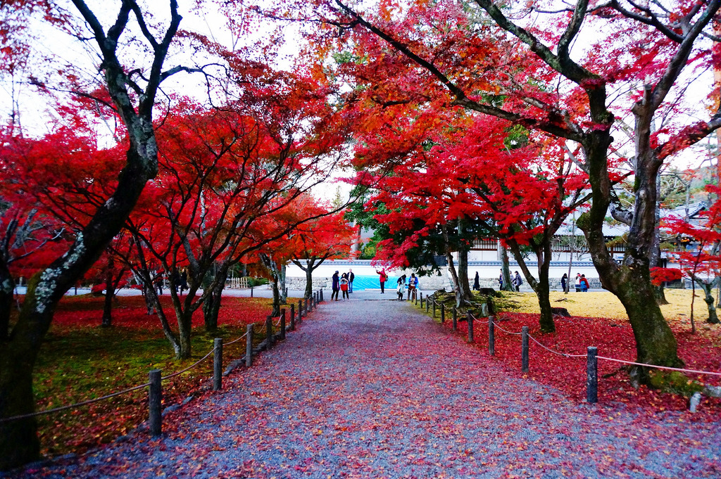 大阪神戶奈良京都自由行懶人包，景點美食住宿一次看透透!!(難波、心齋橋、梅田、天神橋筋、道頓崛、日本橋)