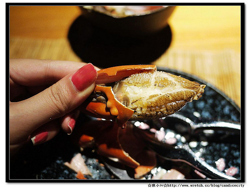 《烏來》名流水岸慢食藝術館 – 讓吃飯變成一種藝術!