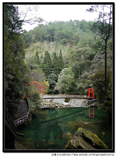 【遊記】溪頭杉林溪，松瀧岩瀑布壯麗美景