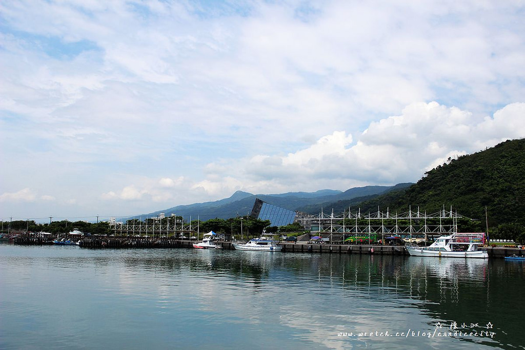 【頭城休閒旅遊達人來帶路】頭城區漁會 – 賞鯨繞島之曬黑黑看到海豚了!!!!